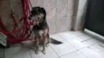 KIKA