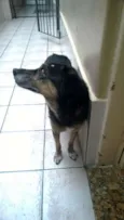 KIKA