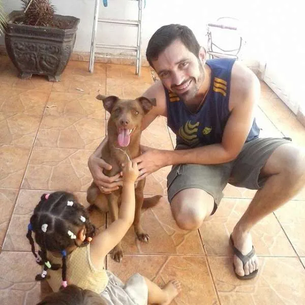 Cachorro ra a Labrador idade 2 anos nome Lolla GRATIFICA