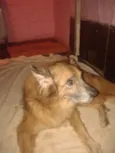 Kiko