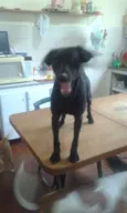 Diego