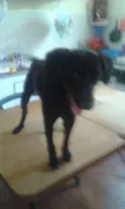 Diego