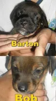 Hulk, Conan, Steve,