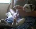 Três