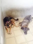 Xuxa e Tini