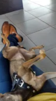 não tem nome