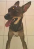 não tem nome