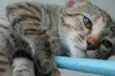 Milly <3