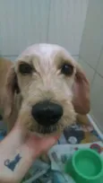 Bartholomeu
