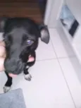 Preta