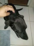 Preta