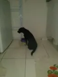 Preta