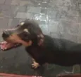 Zé