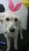 Nina
