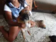 pequeninos