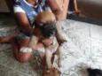 pequeninos