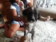 pequeninos