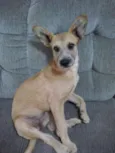 Princesa