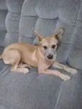 Princesa