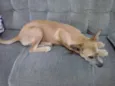 Princesa