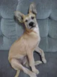 Princesa