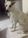 Grazi