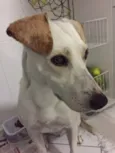 Grazi