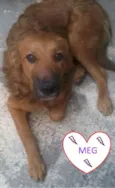 MEG