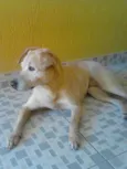 Não sabemos