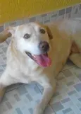 Não sabemos
