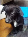 Esperando você dar