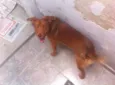 Tutti