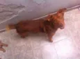 Tutti