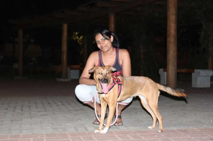 Cachorro ra a SRD idade 7 a 11 meses nome Meg