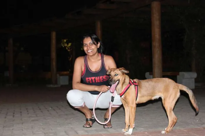 Cachorro ra a SRD idade 7 a 11 meses nome Meg