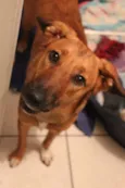 Meg