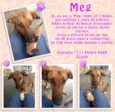 Meg