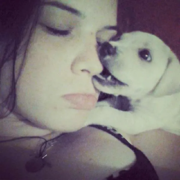 Cachorro raça SRD idade 7 a 11 meses nome Sid