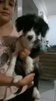 "Ka"