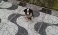 Princesa linda