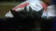 Pretinhos