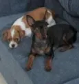 Marlene e wendi