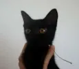 * RUBY *