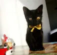 * RUBY *