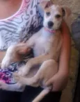 Jully