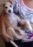 Jully