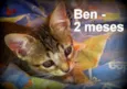 Ben