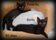 Betty e Pedrita