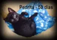 Betty e Pedrita
