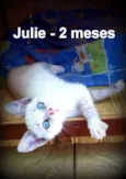 Julie